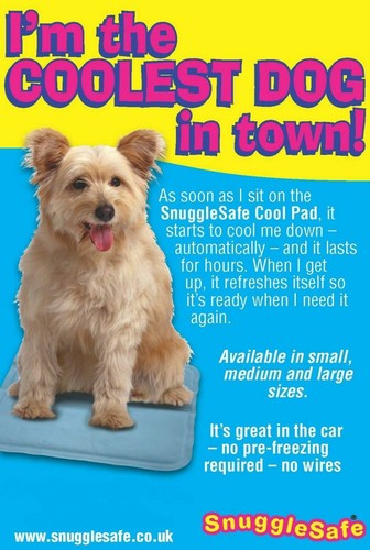 Snugglesafe instant cool - instant, pad