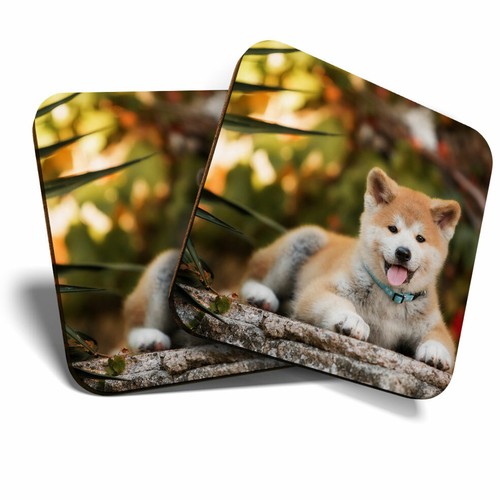 Coasters japanese akita - -,
