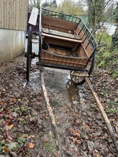 Horse-Drawn Carriage