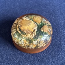 Vintage Lucite Crab Shells