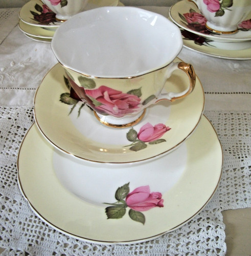 Set pretty english bone - set,