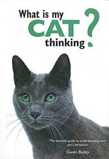 What is My Cat Thinking?: The