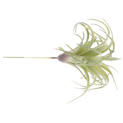 Artificial flower home decor - artificial,