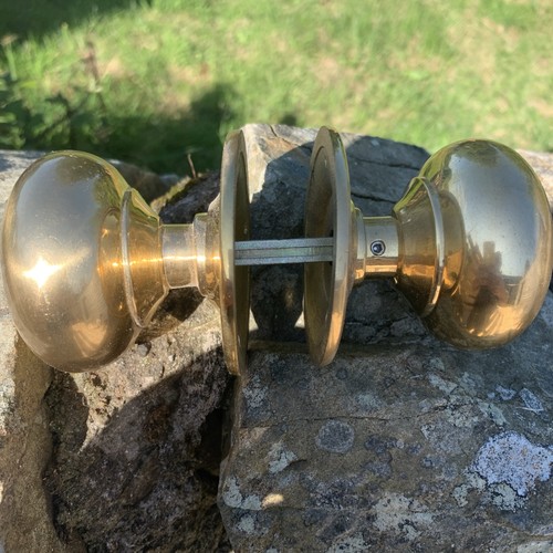 Large brass door - large, handles