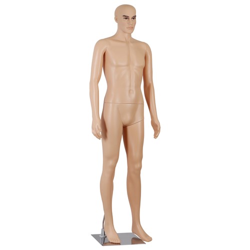 Male mannequin full body - male,