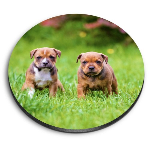 Round mdf magnets - magnets,