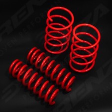 DIRENZA SUSPENSION LOWERING