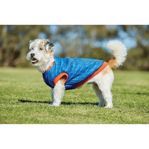 Weatherbeeta puffer dog - coat,