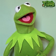 Kermit’s Cousin Professional