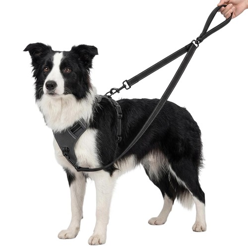 Double ended lead for - double,