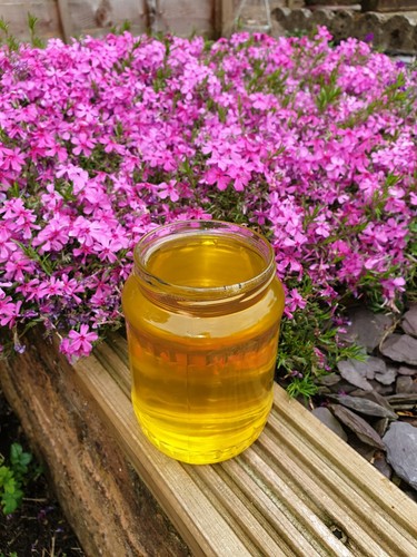Raw acacia honey - 2025, harvest