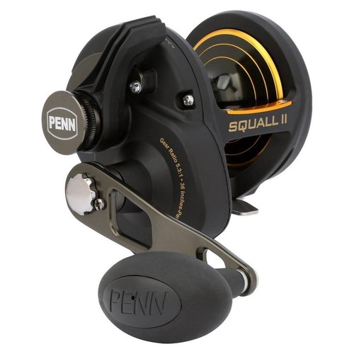 Penn squall lever drag - 30,