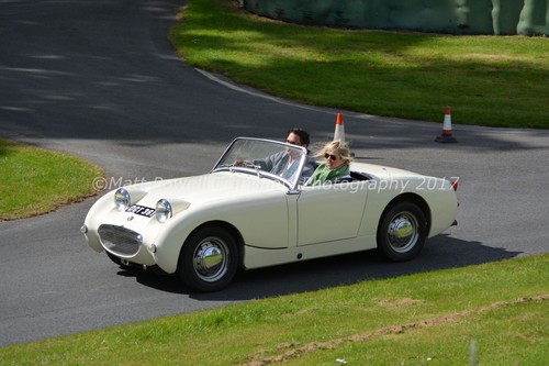 Car photo 12x8 austin - car,