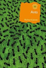 Ants The ultimate social