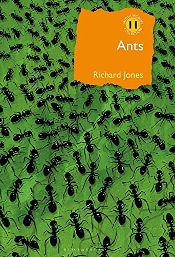 Ants the ultimate - the, social