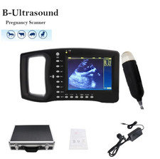 Portable Veterinary Ultrasound