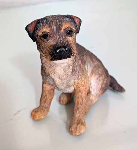 Pups galore border terrier - pups,