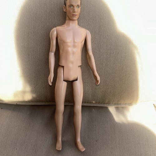 The wanted siva collector - the, doll