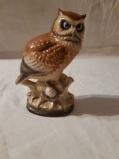 Japanese Great Horned Owl