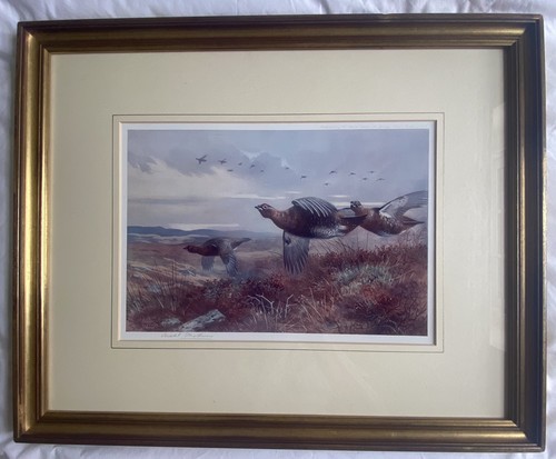 Archibald thorburn - thorburn, (1860-1935)