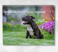 Staffordshire Bull Terrier