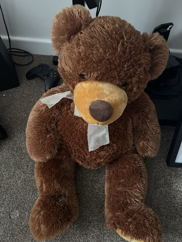 Large teddy bear - teddy,