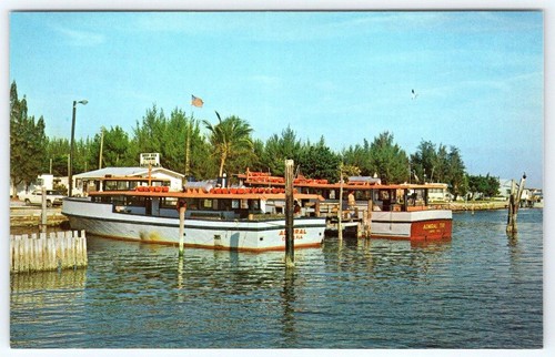 Cortez florida deep sea - cortez,