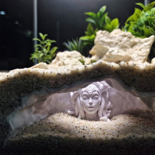 Aquarium cave decoration - aquarium,