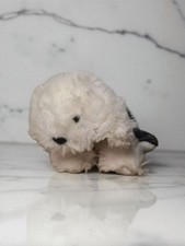 Dulux Puppy Dog, Collar Plush