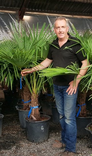 6ft inc pot premium - 1x,