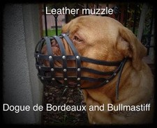 Light leather Dog Muzzle for