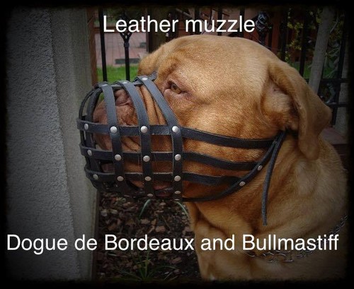 Light leather dog muzzle for - light,