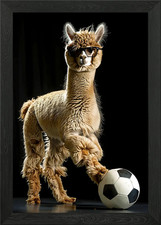 Alpaca Soccer Framed Wall Art
