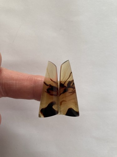 Amber pair - amber,