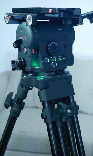 Cartoni maxima head - maxima,