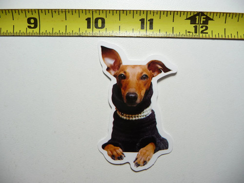 Glamorous doberman pinscher - doberman,