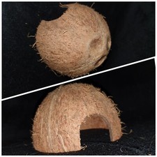 Coconut Shell Shelter Hide for