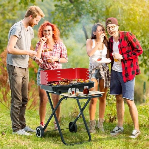 Foldable charcoal trolley - charcoal,