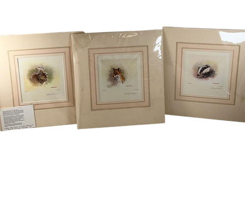 Mandy shepherd ltd edition - ltd,