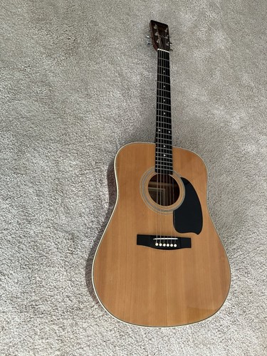 Hohner lw400n acoustic - acoustic, guitar