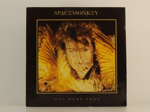 Space monkey one - more, shot