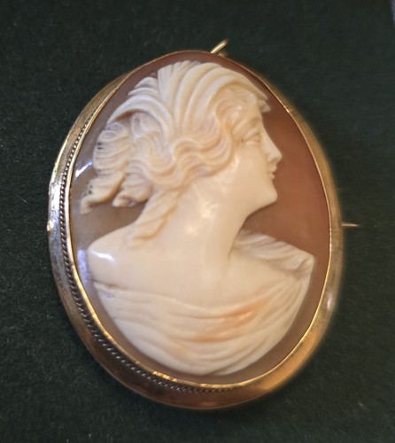 19th century carved shell - 19th,