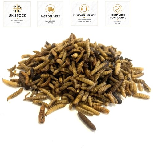 Calcium rich black soldier fly - calcium-rich,