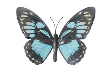 Large Metal Butterfly Wall Art