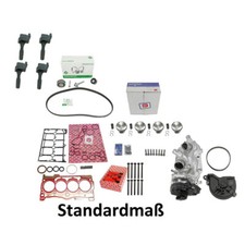 Gasket Set + Screws + Piston STD + Bearing for VW Golf 7 877.090 445.910 130050060200 Ø7