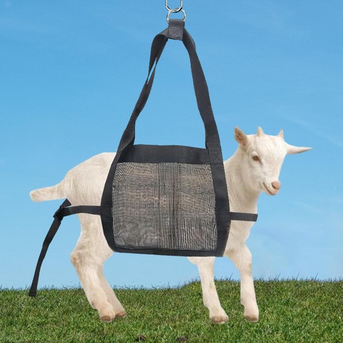 Weighing strap livestock sling - strap,