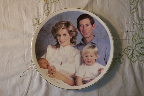 Fine bone china - bone,