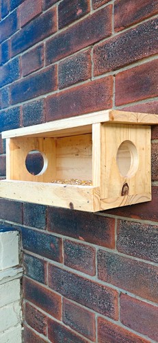Wooden wall mounted bird - wooden,