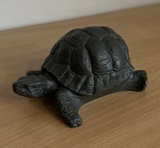 Indoor Ornamental Tortoise