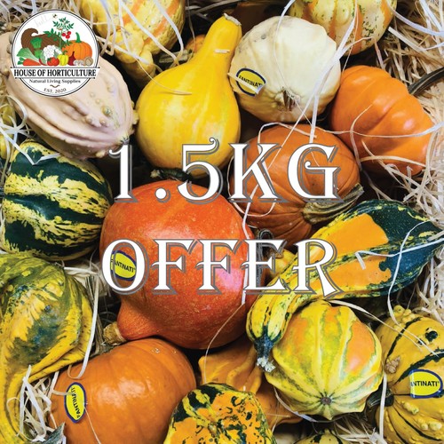 Decorative mini gourds 5kg - mini,